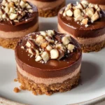 Healthier Mini Nutella Cheesecakes